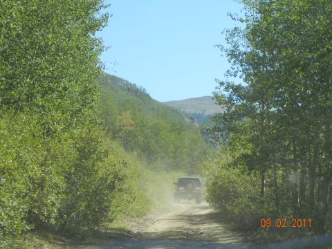 1996 Ford Bronco - A vehicle travels down a dusty, tree-lined dirt road in a mountainous area.
