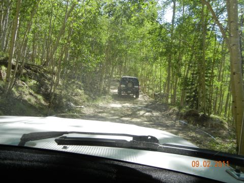 1996 Ford Bronco - Two SUVs travel on a dusty forest road, with one vehicle's windshield wipers visible in the foreground.
