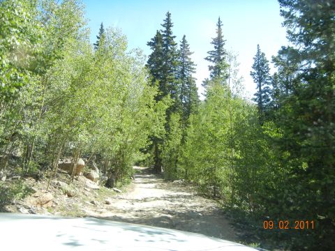 1996 Ford Bronco - Dirt road through a forest with trees and rocks, dated 09.02.2011.