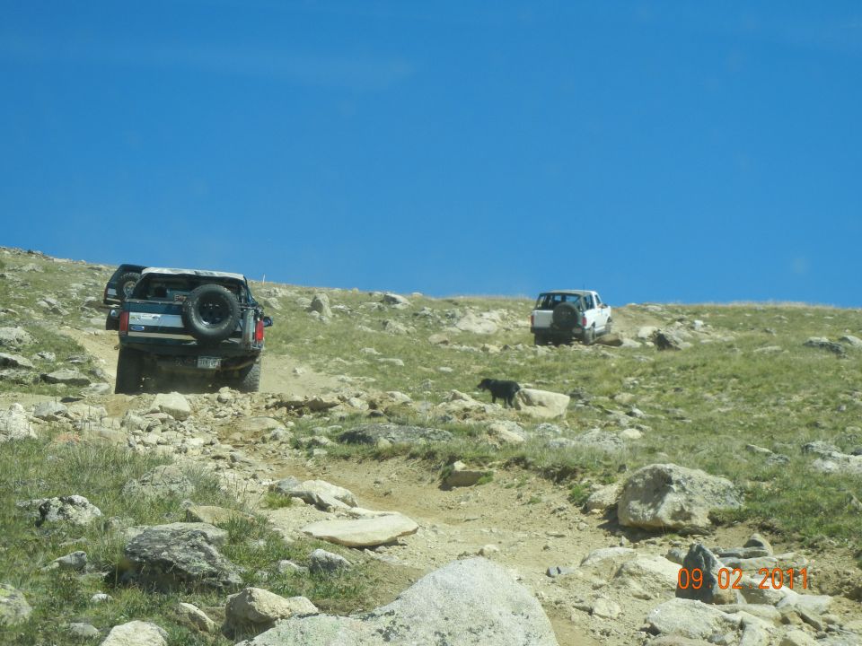 Two SUVs driving up a rocky mountain path with a dog nearby
