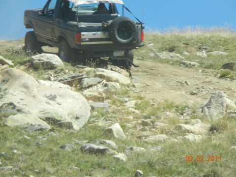 1996 Ford Bronco - A dark Ford Bronco navigates a rocky, off-road path under a clear blue sky.