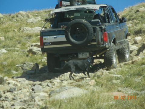 1996 Ford Bronco - A black Ford Bronco navigates a rocky trail with a dog accompanying it. Another vehicle is stacked on top.