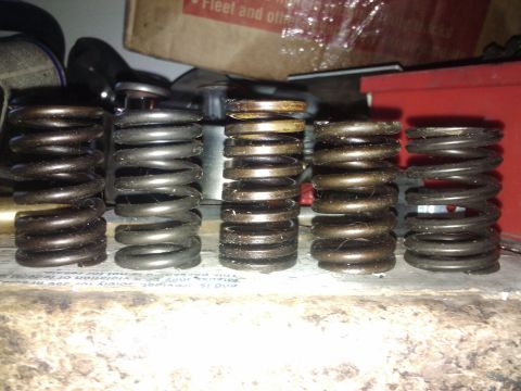 1995 Ford Probe - A collection of valve springs, some showing signs of wear and rust, are laid out for inspection.
