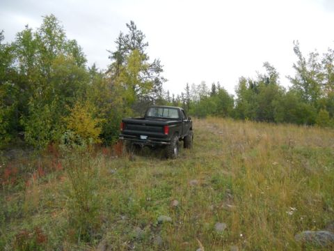 1986 Ford F-150 - Pickup truck is parked in a field with trees and overgrown grass. The vehicle is facing away from the camera.