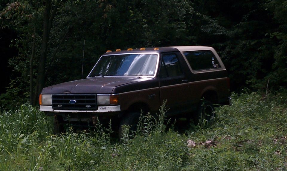 Lifted two-tone brown and tan Ford Bronco with roof marker lights parked in tall grass near woods