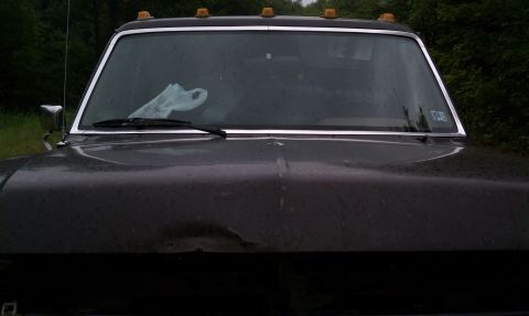 1990 Ford Bronco - Front view of a dent in the hood due to an encounter with a tree.