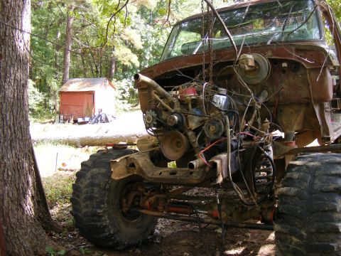 1978 Ford Bronco - This heavily modified truck chassis, possibly a 1978 Ford Bronco, sits in a wooded area with its engine exposed and large off-road tires.