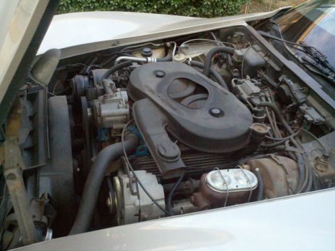 1982 Chevrolet Corvette - The engine bay of a 1982 Chevrolet Corvette shows its V8 engine and associated components.
