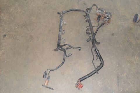 1997 Ford Ranger - A complex vehicle wiring harness is shown, disconnected from its original application.