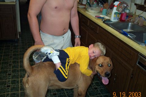 1986 Ford Bronco - A young child in a yellow shirt and navy shorts lies draped over the back of a large tan dog in a kitchen, while a shirtless adult stands n…