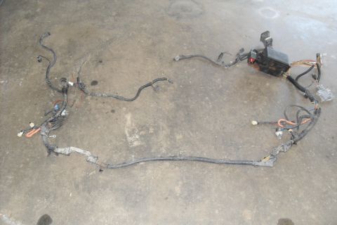 1997 Ford Ranger - A complex wiring harness lies on a concrete surface, showing its intricate network of wires and connectors.