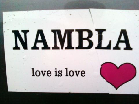 2006 Ford E350 - A sticker with the text 'NAMBLA' and 'love is love' is shown next to a pink heart.