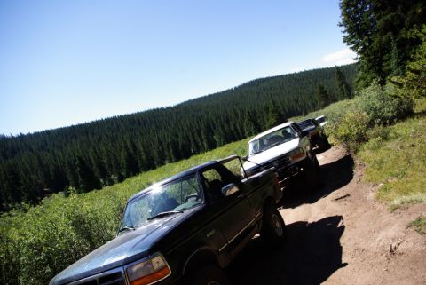1996 Ford Bronco - Several trucks drive along a dirt path surrounded by dense pine forest under a clear blue sky.