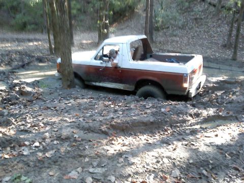 1989 Ford Bronco - This 1989 Ford Bronco is stuck deep in the mud on a trail.