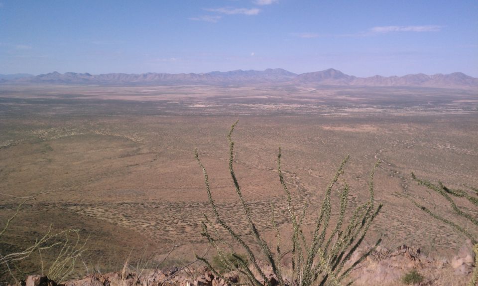 Vast desert valley with mountains in the distance under a clear blue sky