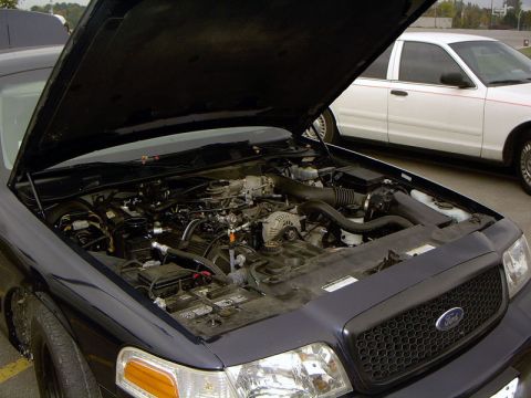 1999 Ford Crown Victoria - Engine bay of a dark blue 1999 Ford Crown Victoria, with a white Crown Victoria parked behind it.