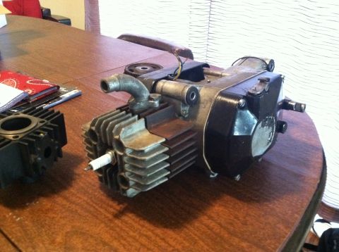 1981 Garelli Rally Sport - Disassembled motorcycle engine parts are laid out on a table.