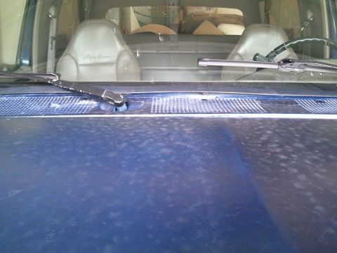 1994 Ford Bronco - Interior view of a blue SUV, showing leather seats and the hood with a textured grille.