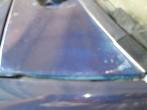 1994 Ford Bronco - Close-up of a blue vehicle's hood and the edge of the windshield, showing signs of wear.