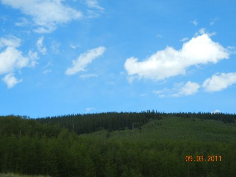 1996 Ford Bronco - A scenic view of a wooded hillside under a bright blue sky with scattered clouds, a date stamp from 2011.
