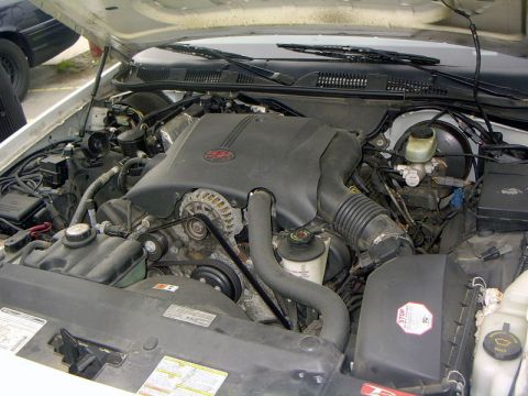 1999 Ford Crown Victoria - The engine bay of a white vehicle is shown, with the hood open, revealing the V8 engine and associated parts.