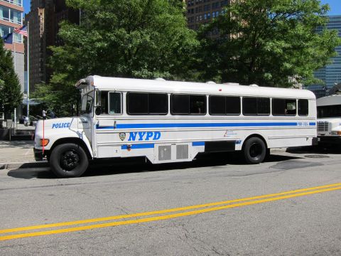 1991 Ford LTD Crown Victoria - white NYPD bus with a blue stripe and police shield, parked at the curb along a tree-lined urban street.