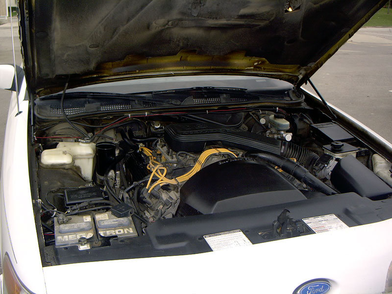1999 Ford Crown Victoria engine bay with hood open, showing V8 engine and battery