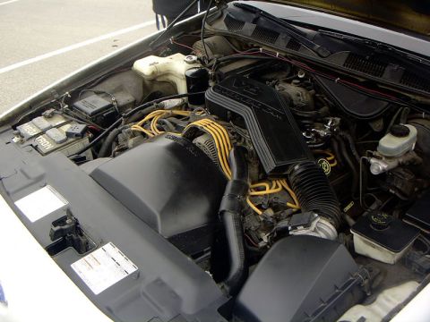 1999 Ford Crown Victoria - The engine bay of a 1999 Ford Crown Victoria is shown, the V8 engine and various components.