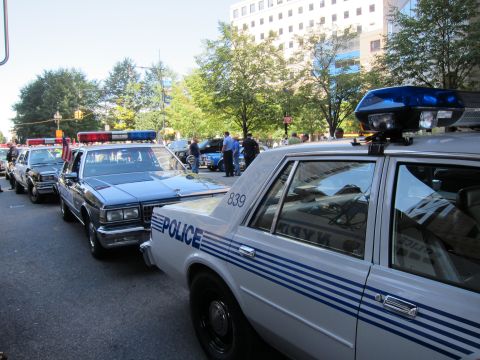 1991 Ford LTD Crown Victoria - Several police sedans, including older models, are lined up curbside under trees with a building beyond.