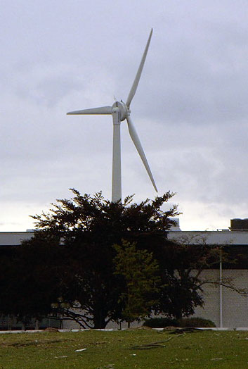 1999 Ford Crown Victoria - A wind turbine stands tall against a cloudy sky, partially obscured by trees and a building.