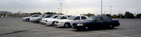 1999 Ford Crown Victoria - A line of Ford Crown Victorias, one dark blue and the rest white, are parked in an outdoor lot under a cloudy sky.