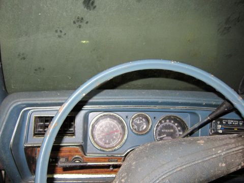 1991 Ford LTD Crown Victoria - Interior view of a car dashboard with paw prints visible on the windshield.