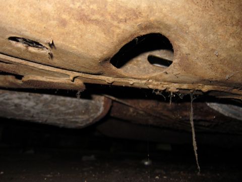 1991 Ford LTD Crown Victoria - The undercarriage of a vehicle shows significant rust and deterioration, with visible cobwebs.