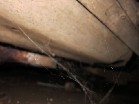 1991 Ford LTD Crown Victoria - Cobwebs obscure the underside of a vehicle, with visible rust on some components.