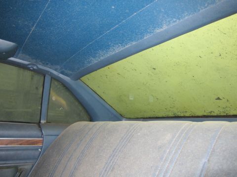 1991 Ford LTD Crown Victoria - Interior view of a dusty car, showing the rear seat and blue headliner.
