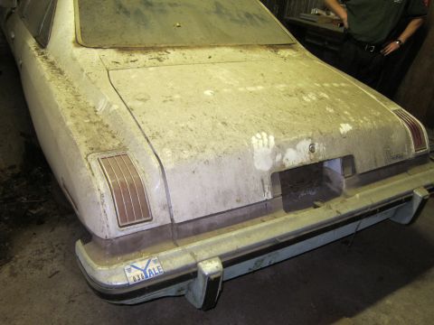 1991 Ford LTD Crown Victoria - A dusty white sedan's rear end is visible, showing its bumper, taillights, and a license plate.