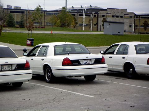 1999 Ford Crown Victoria - Multiple white sedans are parked in a lot, with a building in the background.