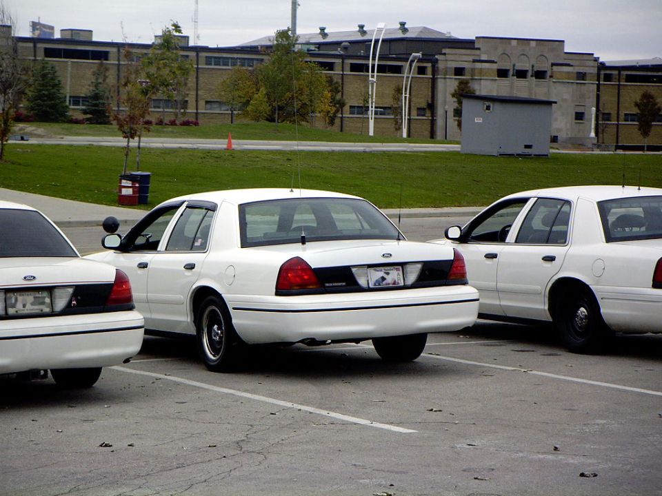 Three white sedans parked in a lot, rear view. One car is in the foreground