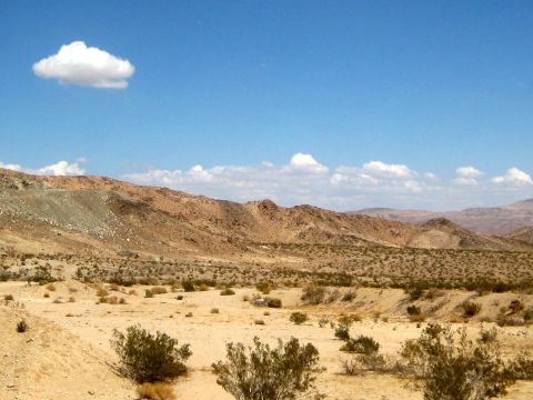 1996 Ford Bronco - A vast desert scene unfolds under a bright blue sky dotted with fluffy white clouds.