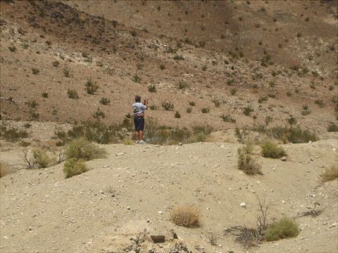 1996 Ford Bronco - A person stands on a dirt mound in a dry, arid environment with sparse vegetation.