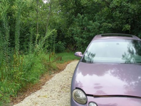 1997 Ford Taurus - Front view of a 1997 Ford Taurus parked on a gravel road next to overgrown vegetation.