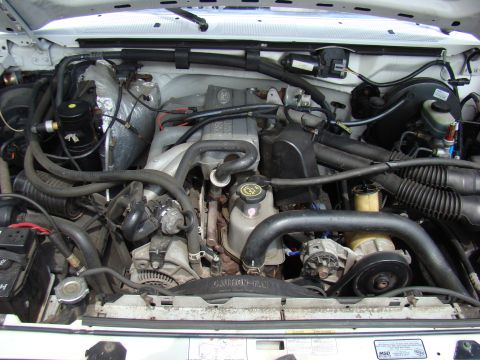 1995 Ford F-150 - The engine bay of a 1995 Ford F-150 shows a V8 engine with various hoses and belts.