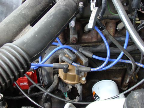 1995 Ford F-150 - Engine bay detail showing spark plug wires, distributor, and oil filter.