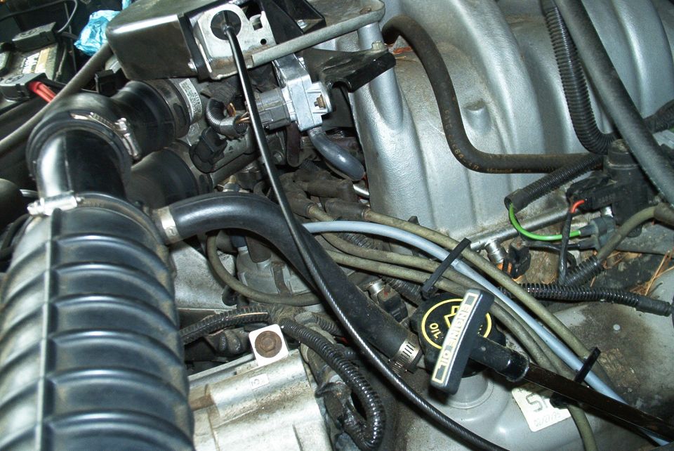 V8 engine bay closeup with intake plenum, throttle body, plug wires and oil filler cap