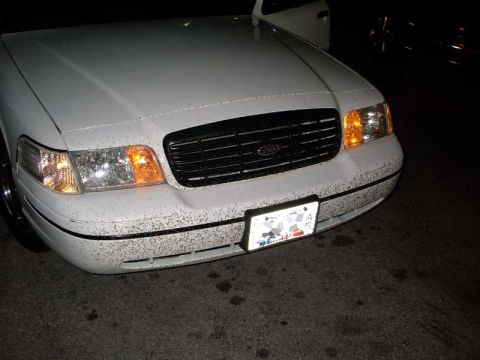 1999 Ford Crown Victoria photo
