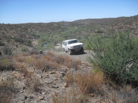 1986 Ford Bronco - White 1987 Ford Bronco navigates a dusty desert trail with sparse vegetation.
