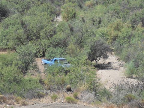 1986 Ford Bronco - A blue pickup truck navigates a brush-filled, off-road trail.