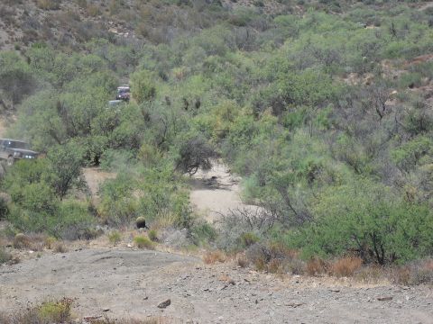 1986 Ford Bronco - Multiple off-road vehicles navigate a dry, overgrown landscape on a sunny day.
