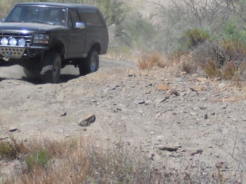 1986 Ford Bronco - This black SUV, likely a 1992-1996 Ford Bronco, navigates a off-road trail with a custom bumper and auxiliary lights.