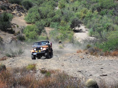 1986 Ford Bronco - A vintage Jeep CJ-7 kicks up dust as it navigates a rough, off-road trail.